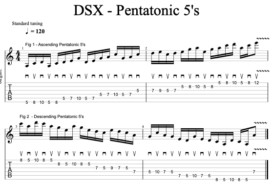 DSX Pentatonic 5's